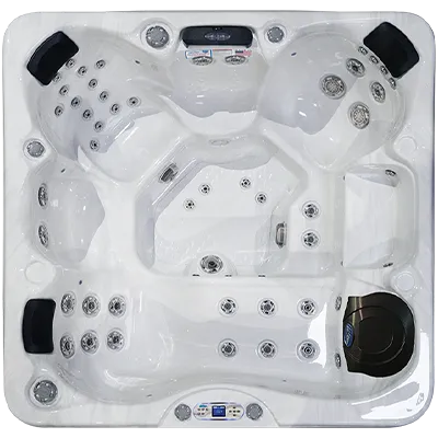 Avalon EC-849L hot tubs for sale in Gulfport